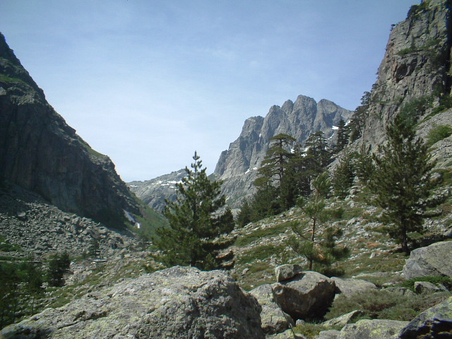 Corsica alpina